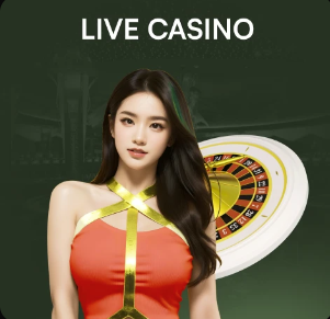 时隔7年中国队再度参加土伦杯，最好成绩是2007年的赛事亚军